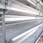 Poultry Battery Cages for Broilers