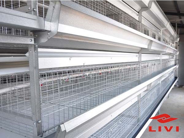 Poultry Battery Cages for Broilers